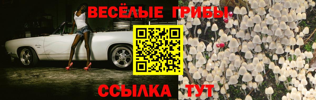 Псилоцибиновые грибы Magic Shrooms Можайск